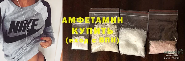сатива Кодинск