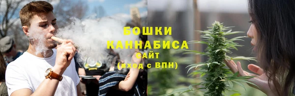 сатива Кодинск