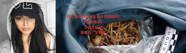 мескалин Козловка