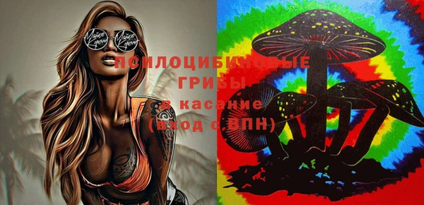 сатива Кодинск
