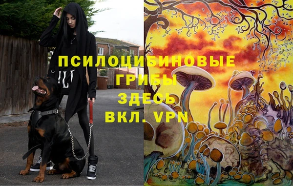 мескалин Козловка