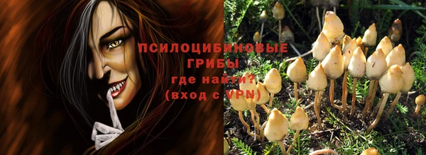 мескалин Козловка
