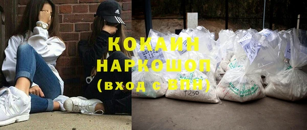 сатива Кодинск