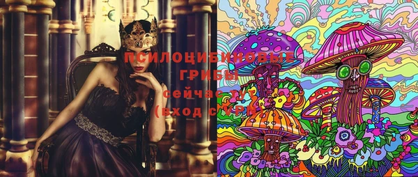 сатива Кодинск