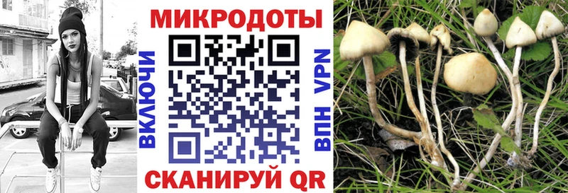 Псилоцибиновые грибы Magic Shrooms  MEGA рабочий сайт  Северск 